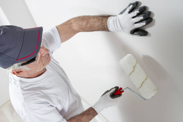 Best Drywall Removal and Disposal  in Lutz, FL