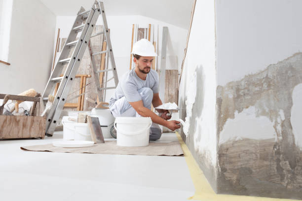 Best Eco-Friendly and Low-VOC Painting  in Lutz, FL