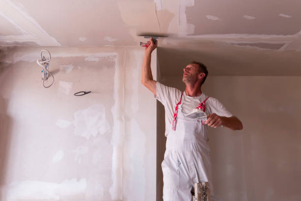 Best Drywall Sanding and Smoothing  in Lutz, FL