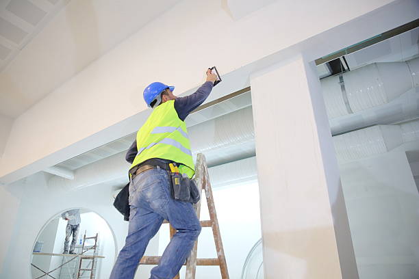 Best Fire-Damaged Drywall Repair  in Lutz, FL